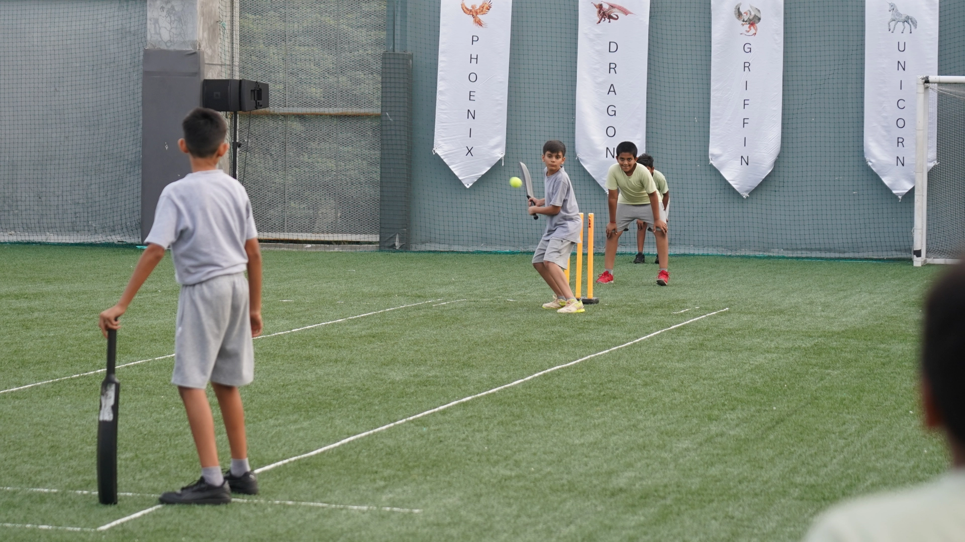 Cricket (2)