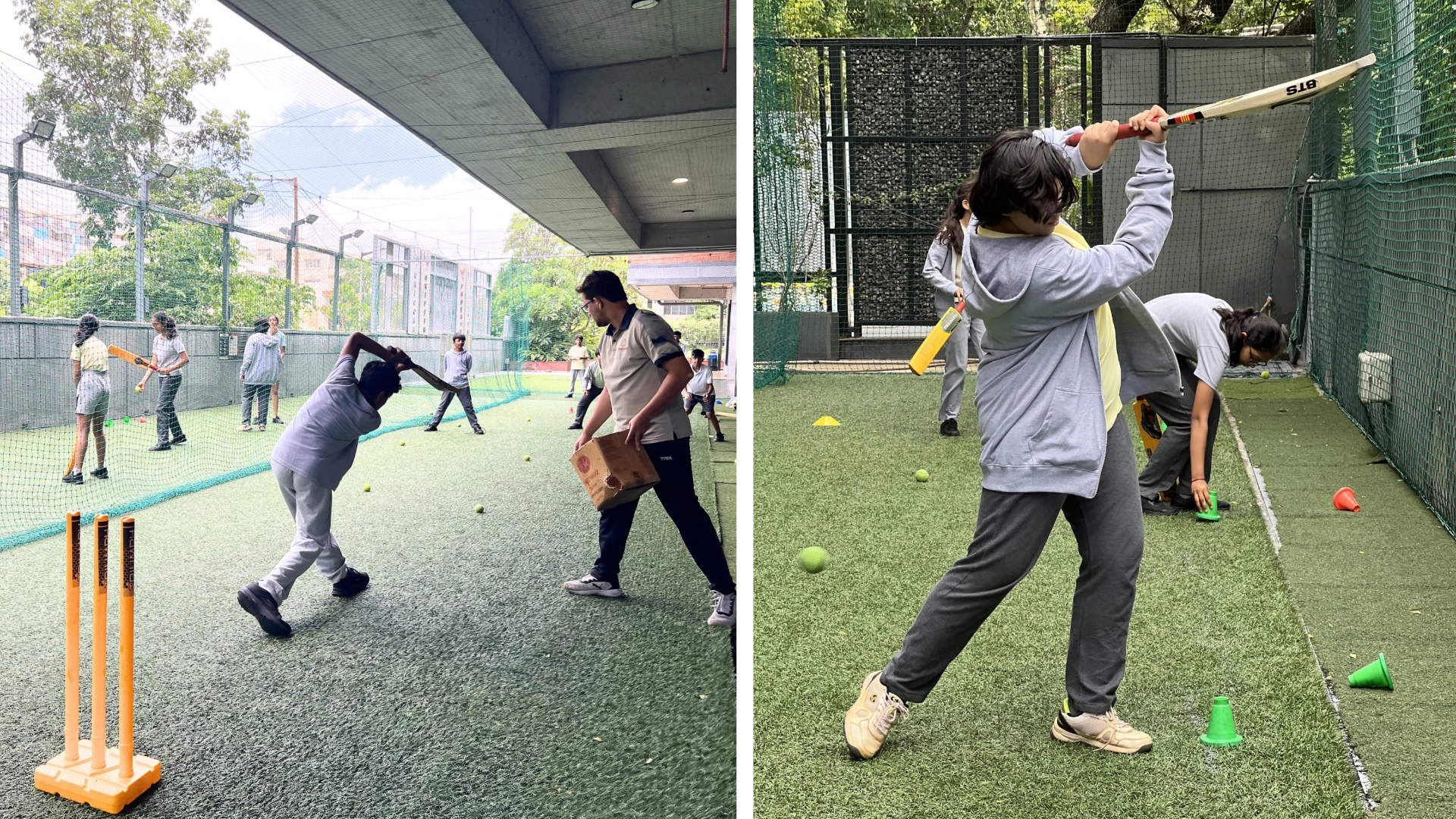 Cricket